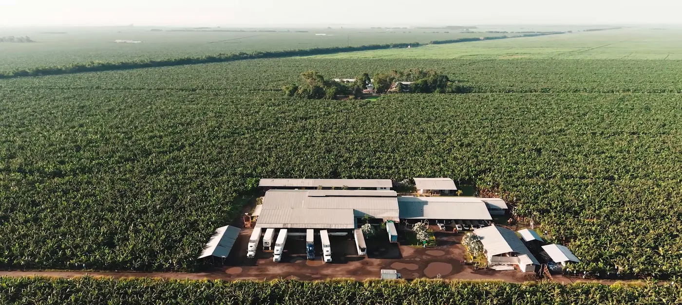 Vista aérea de la finca y la empacadora