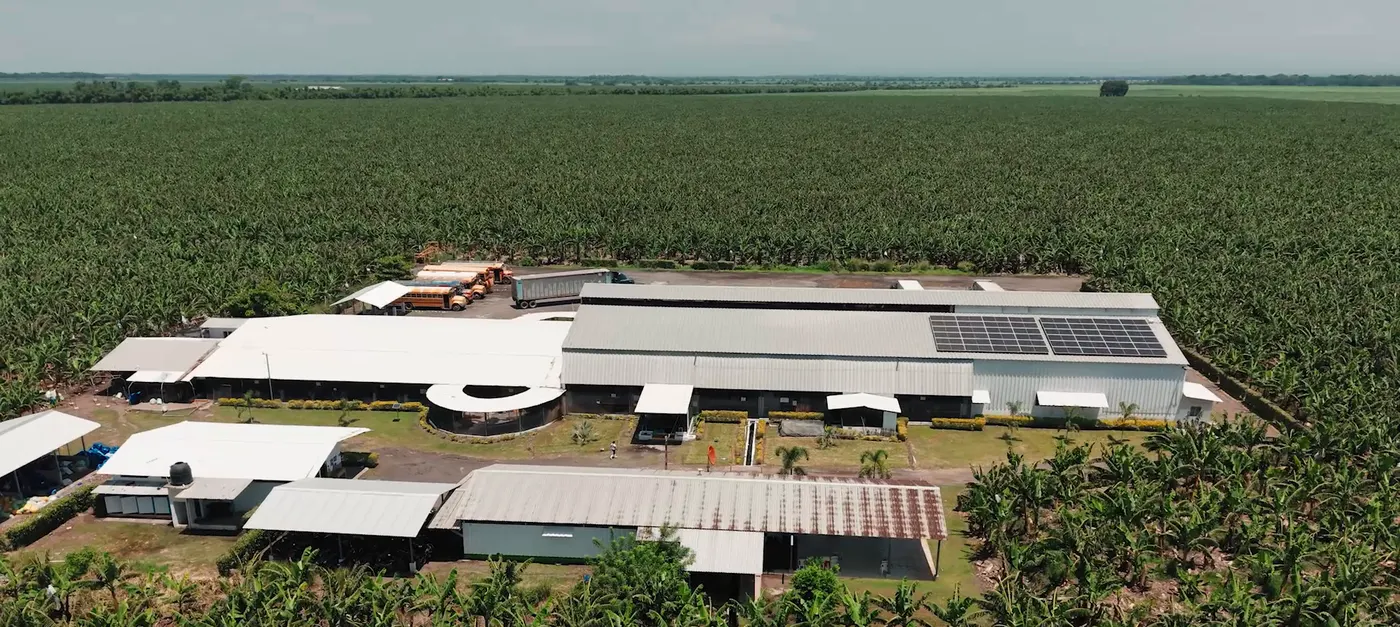 Vista aérea de la empacadora con paneles solares en el techo