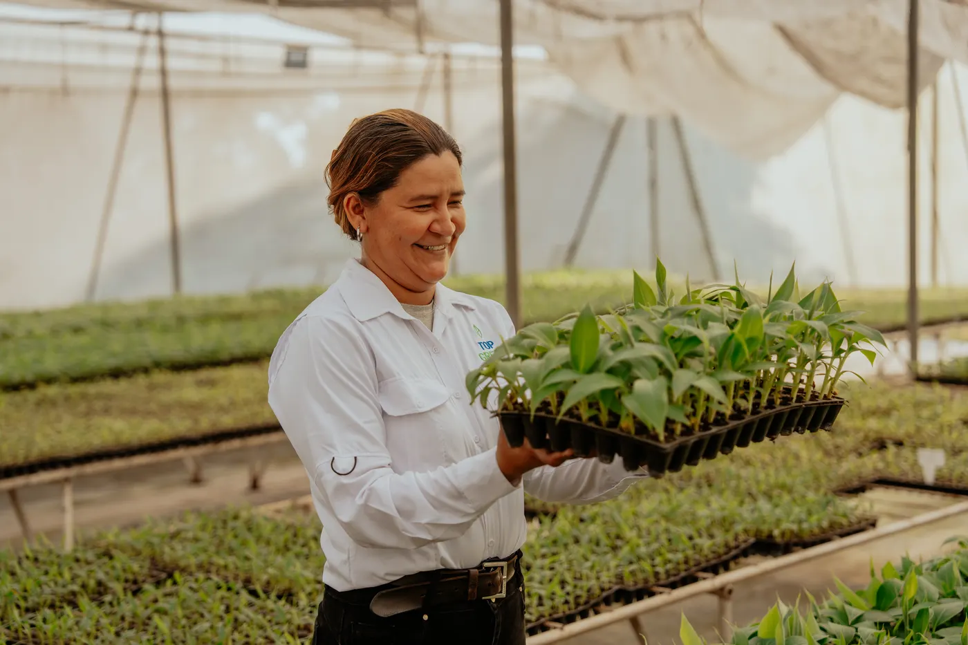 Colaboradora del vivero con plantas de banano